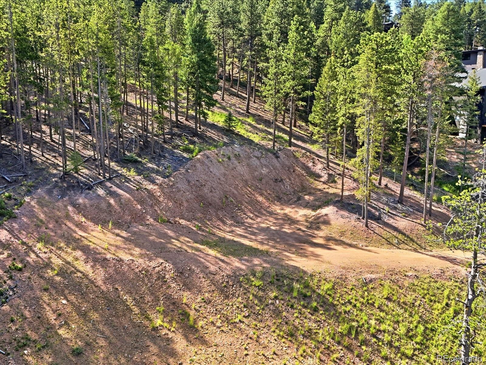 6824 Lynx Lair Road Evergreen, CO 80439 - Photo 1 of 11