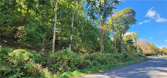 $1 | 22 Glenwood Avenue, Lockport City, NY 14094