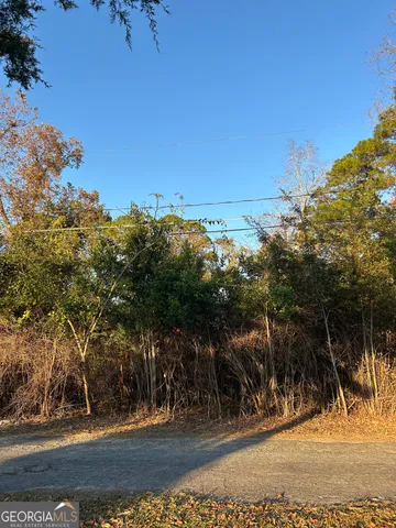 $7,000 | 0 Bonaire Street, McRae-Helena, GA 31055