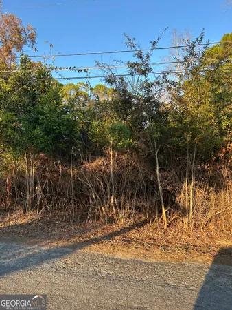 a view of a yard