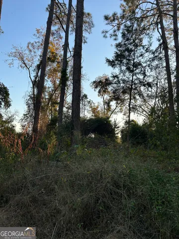 $7,000 | 0 Bonaire Street, McRae-Helena, GA 31055