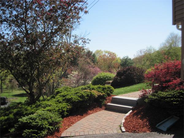 53 Summer Hill Road Maynard, MA 01754 - Photo 3 of 14