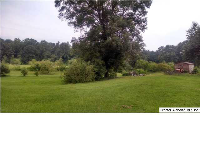 5080 Roy Webb Road Jacksonville, AL 36265 - Photo 24 of 31