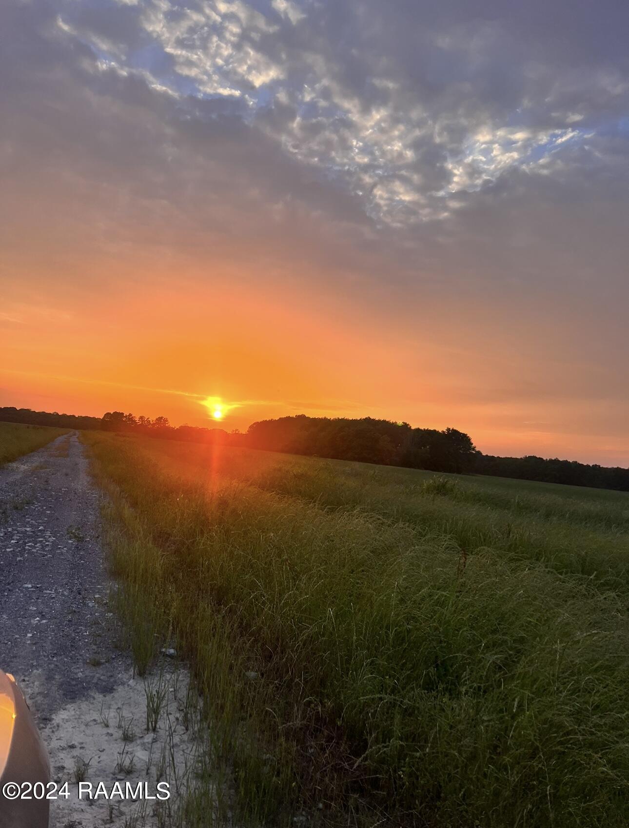 Lot 5 Savoie Road Sunset, LA 70584 - Photo 4 of 5 IMG_0300