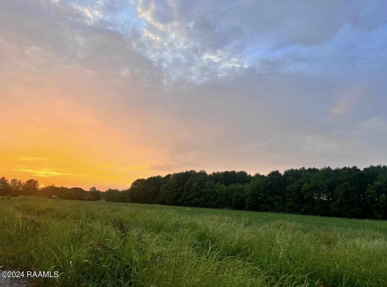 Lot 5 Savoie Road Sunset, LA 70584 - Photo 5 of 5 IMG_0299