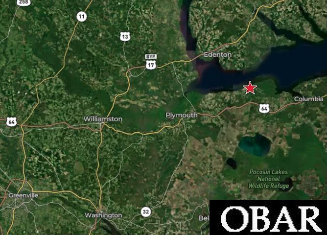 247 Windswept Way Roper, NC 27970 - Photo 7 of 8