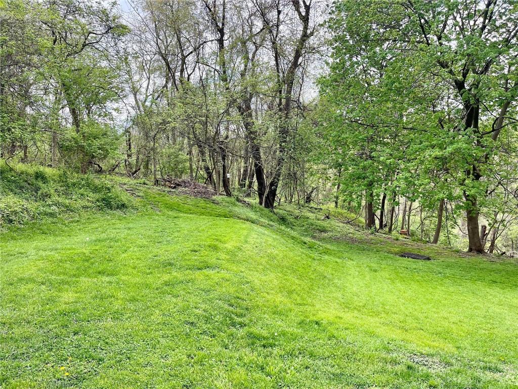 700 Ottillia Street Pittsburgh, PA 15210 - Photo 19 of 20 a view of green field with trees