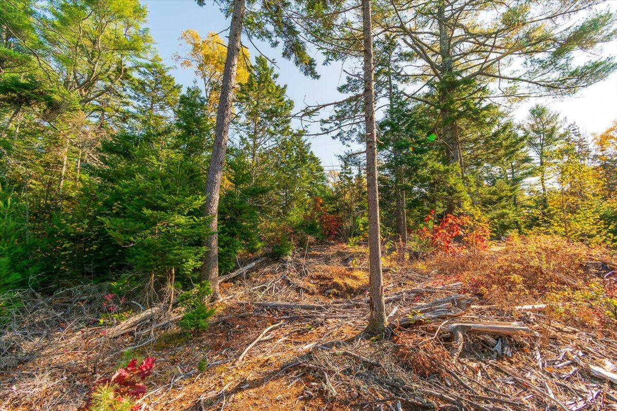 Lot 3 Cushing Road Cushing, ME 04563 - Photo 6 of 20 43-178 Cushing-43