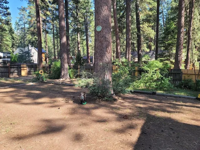 $987,000 | 8438 Dolly Varden Avenue, Kings Beach, CA 96143