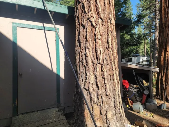 $987,000 | 8438 Dolly Varden Avenue, Kings Beach, CA 96143