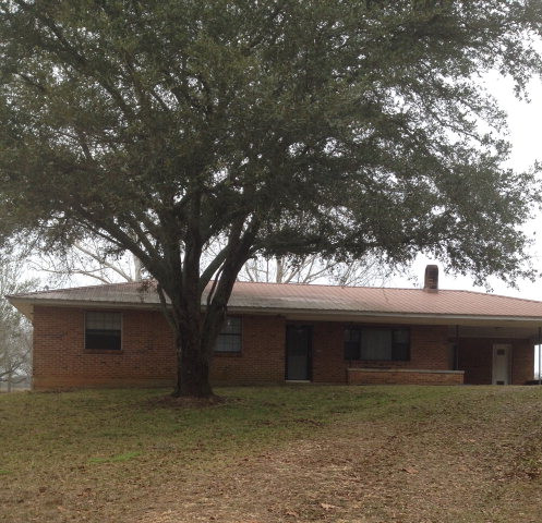 Main View