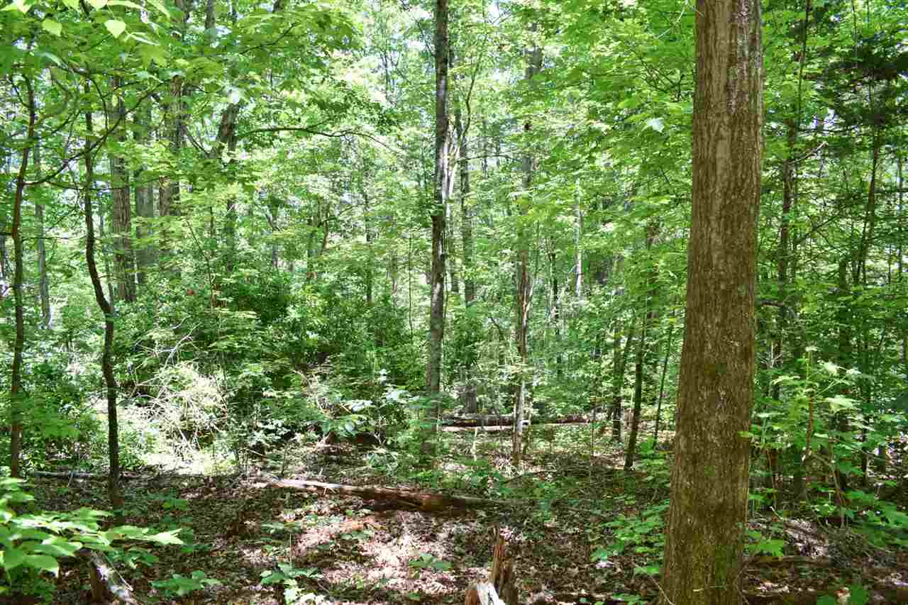Hub Wilson Road Landrum, SC 29356 - Photo 11 of 25