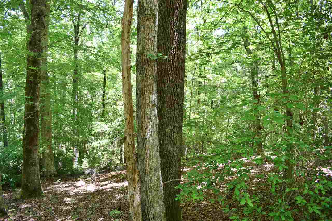Hub Wilson Road Landrum, SC 29356 - Photo 16 of 25