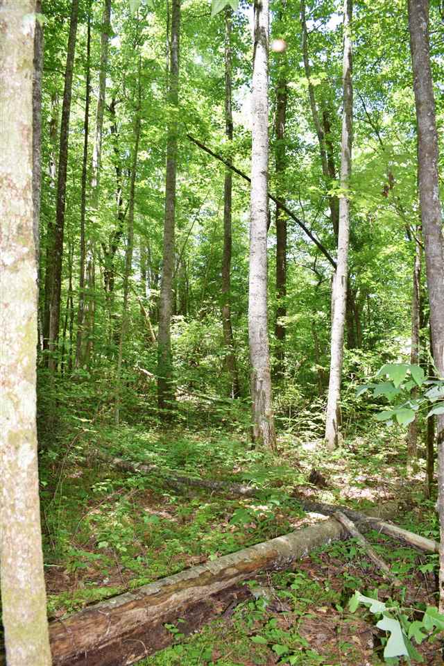 Hub Wilson Road Landrum, SC 29356 - Photo 19 of 25