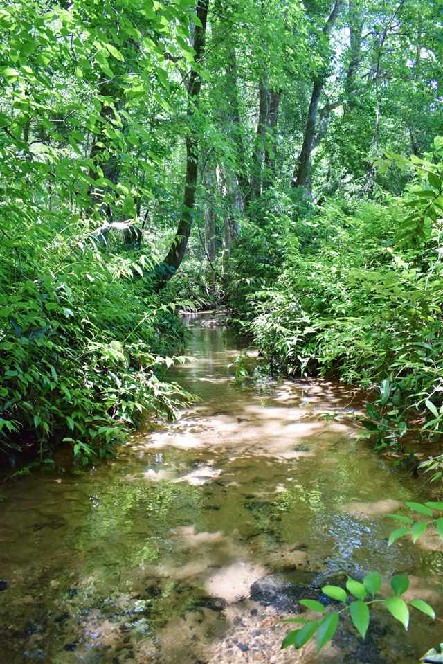 Hub Wilson Road Landrum, SC 29356 - Photo 23 of 25