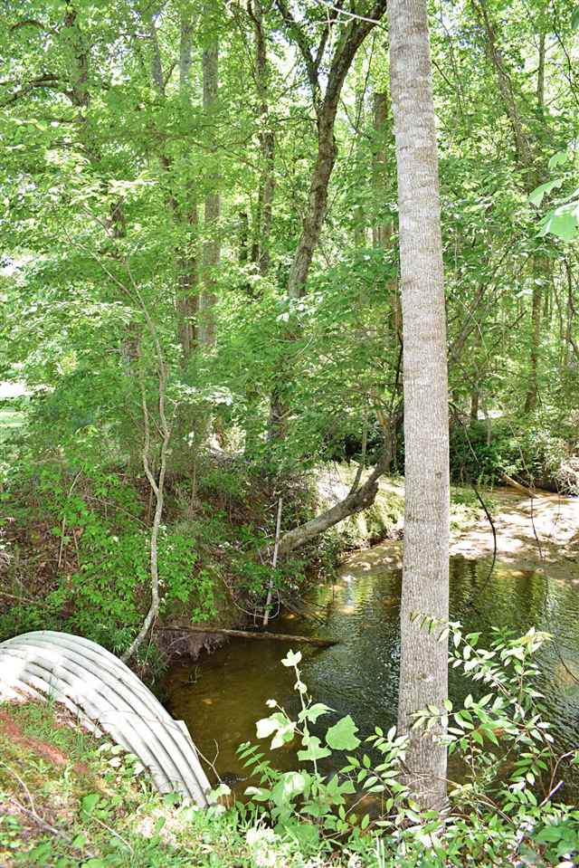 Hub Wilson Road Landrum, SC 29356 - Photo 3 of 25
