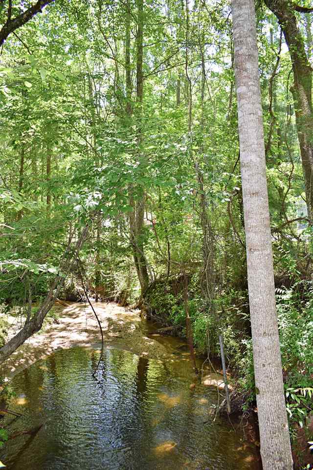 Hub Wilson Road Landrum, SC 29356 - Photo 4 of 25