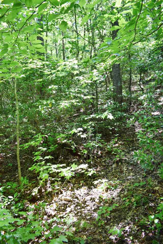 Hub Wilson Road Landrum, SC 29356 - Photo 5 of 25