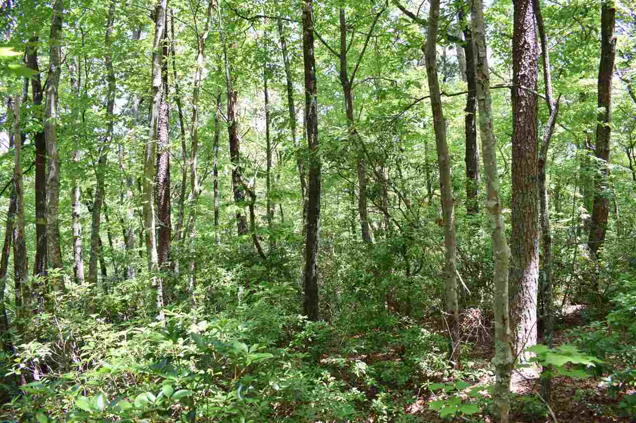 Hub Wilson Road Landrum, SC 29356 - Photo 6 of 25