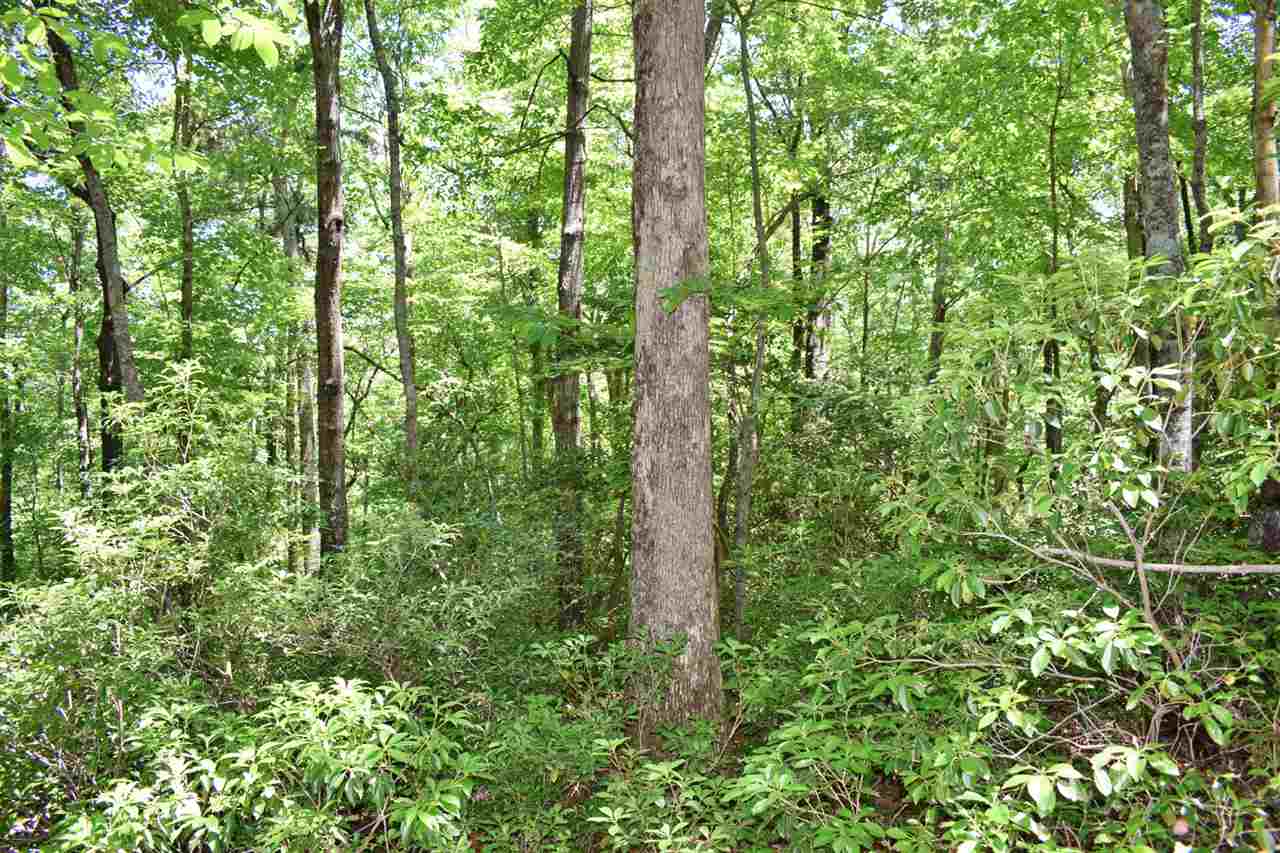 Hub Wilson Road Landrum, SC 29356 - Photo 7 of 25