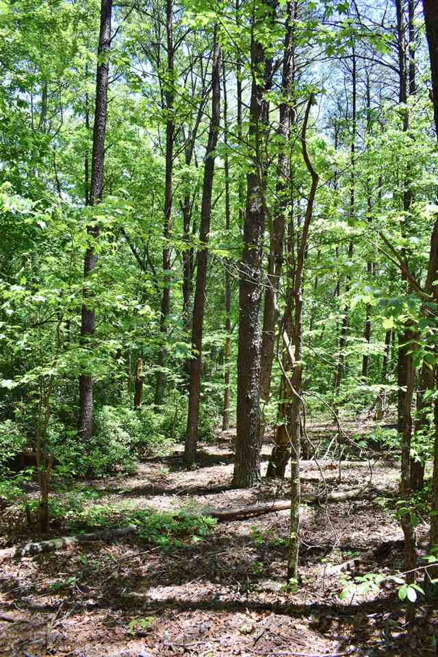 Hub Wilson Road Landrum, SC 29356 - Photo 8 of 25