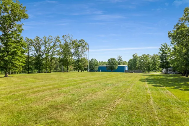 a view of a big yard with plants and large trees