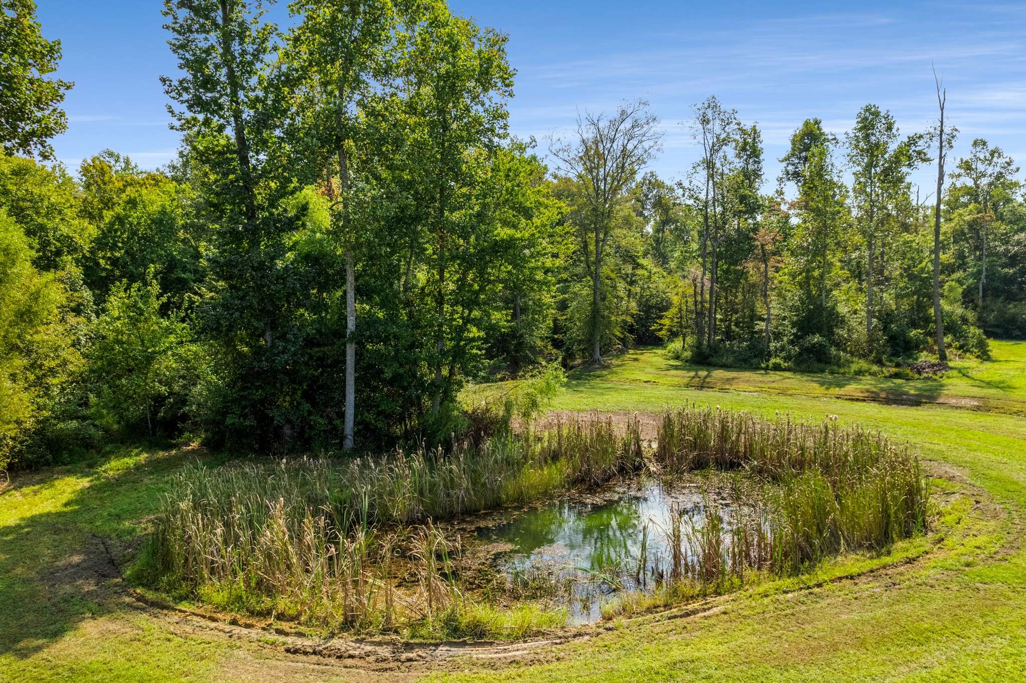 456 Lakewood Park Road Beechgrove, TN 37018 - Photo 44 of 63