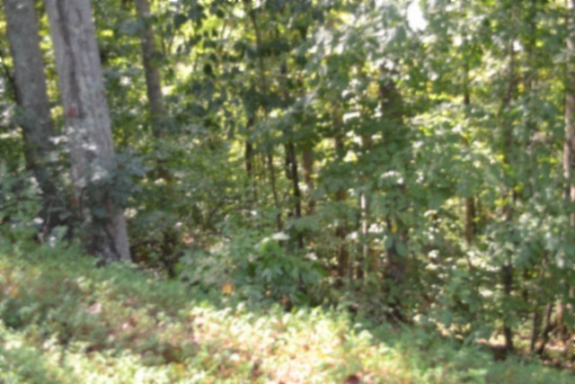 2121 Riley Creek Road Whitleyville, TN 38588 - Photo 10 of 21 Gallery Image 10