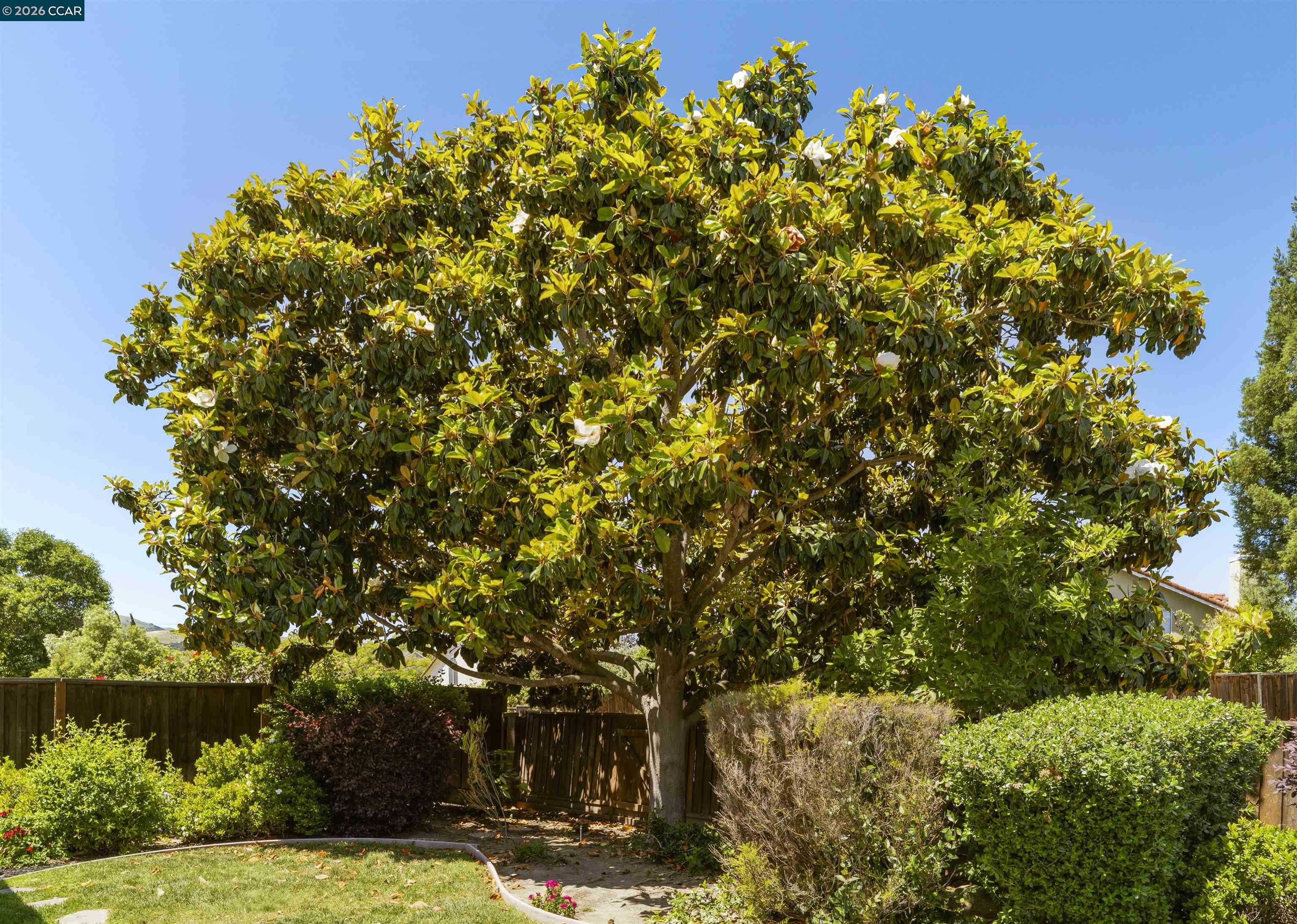 3237 Veracruz Drive San Ramon, CA 94583 - Photo 53 of 67