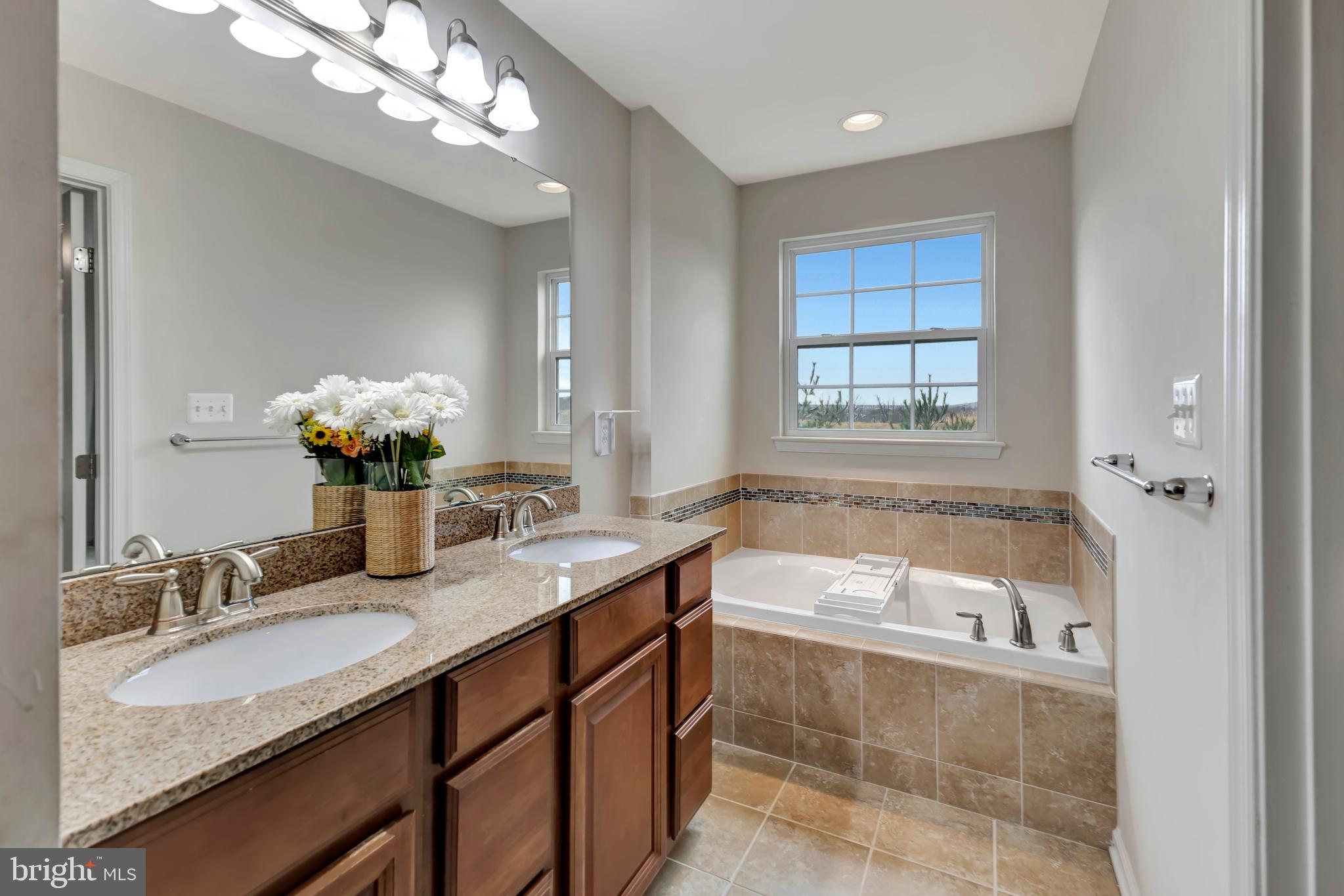 2063 Spring Run Circle Frederick, MD 21702 - Photo 20 of 28 a bathroom with a granite countertop bathtub a sink and a large mirror