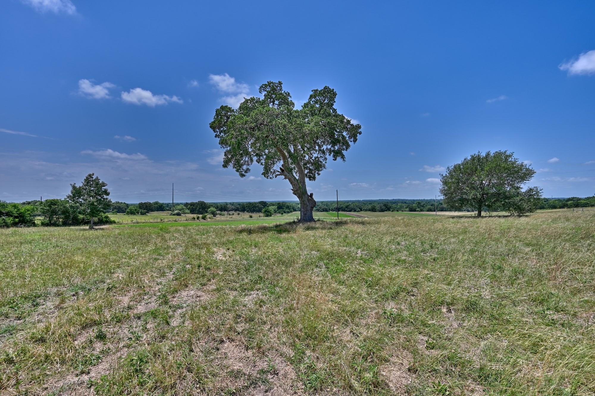 6238 Kovar Road Fayetteville, TX 78940 - Photo 10 of 28