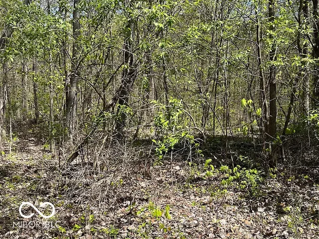 $54,900 | 0 Cottonwood Road, Morgantown, IN 46160