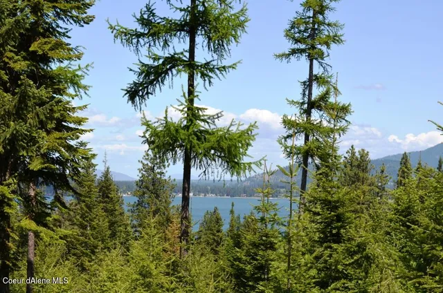 $990,000 | 5287 South Jackleg Trail, Harrison, ID 83833