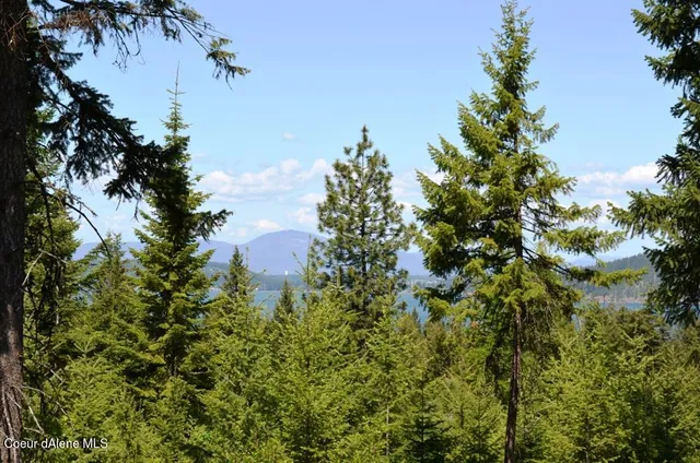 $990,000 | 5287 South Jackleg Trail, Harrison, ID 83833