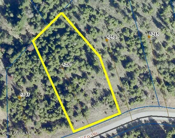 $990,000 | 5287 South Jackleg Trail, Harrison, ID 83833