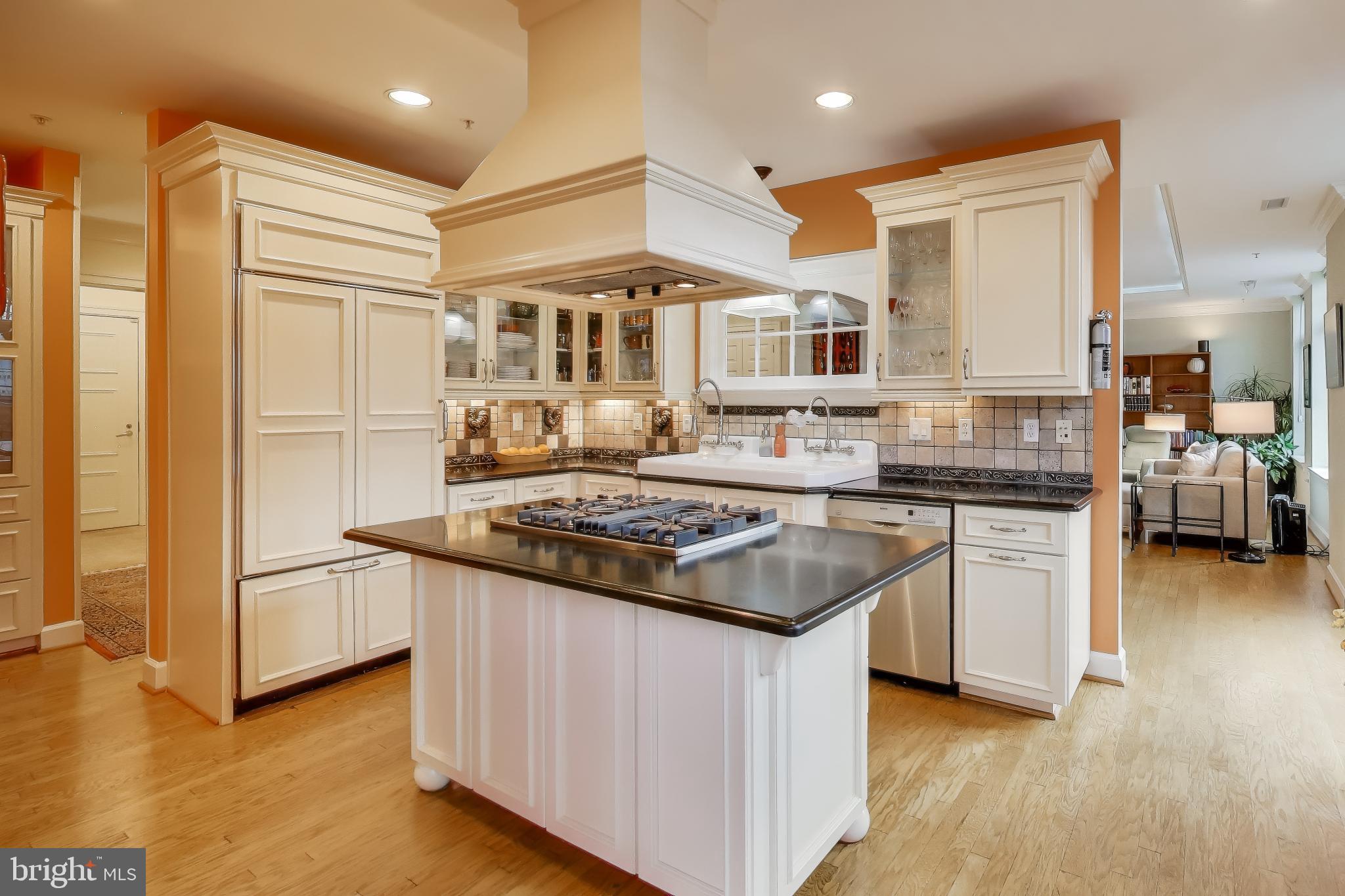 7405 Arlington Road, Unit 202 Bethesda, MD 20814 - Photo 21 of 41 Gourmet kitchen with high-end appliances
