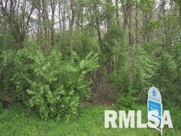 South Country Club Road Murphysboro, IL 62966 - Photo 1 of 1 a view of a wooden fence and trees