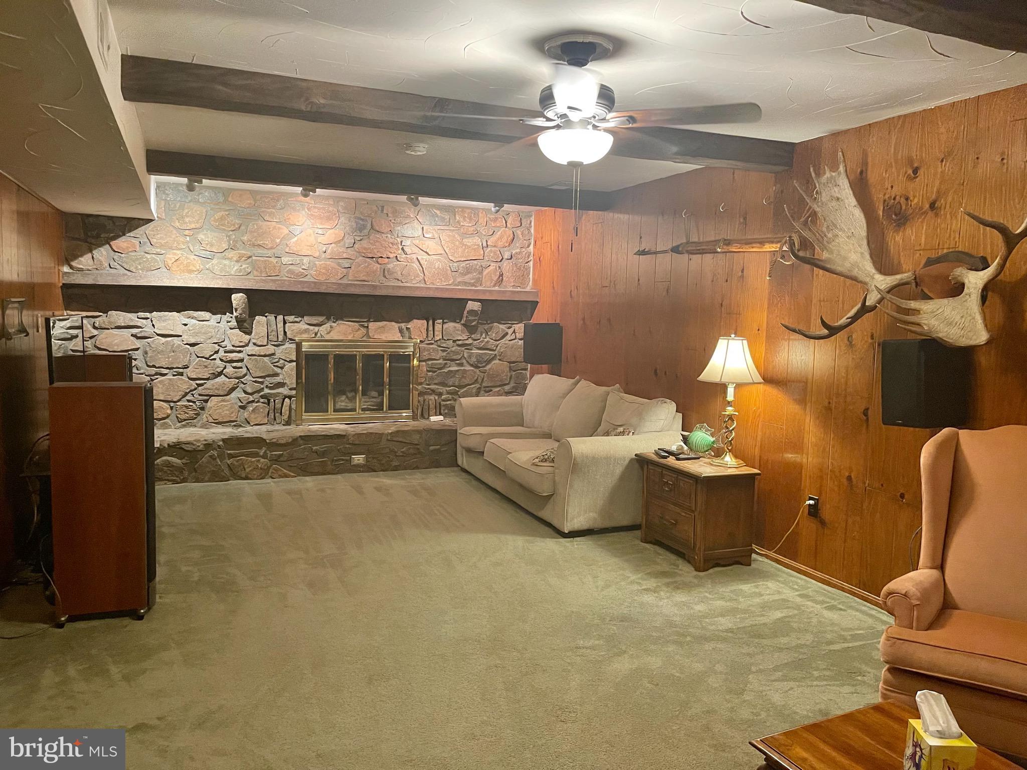 6180 Evergreen Mountain Road Broad Run, VA 20137 - Photo 14 of 23 Basement Fireplace