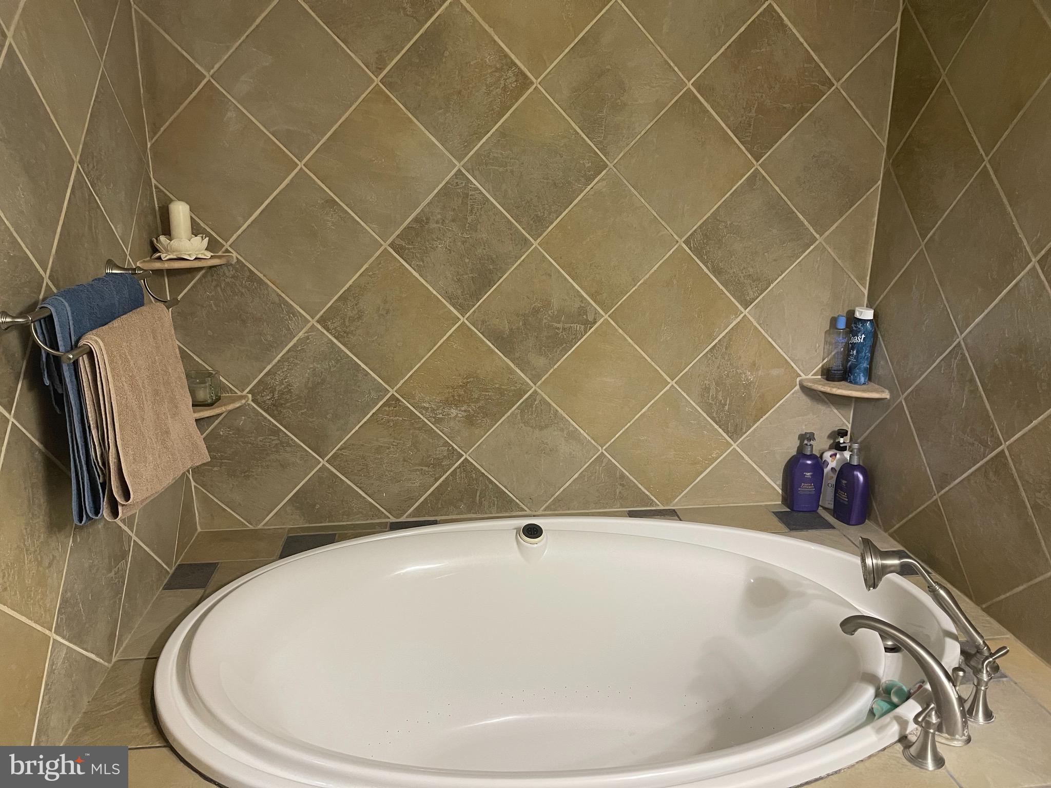 6180 Evergreen Mountain Road Broad Run, VA 20137 - Photo 9 of 23 Primary Bath Soaking Tub