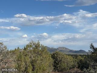 Lot 10 Incline Trail Williams, AZ 86046 - Photo 12 of 26 a view of a lake in middle of forest
