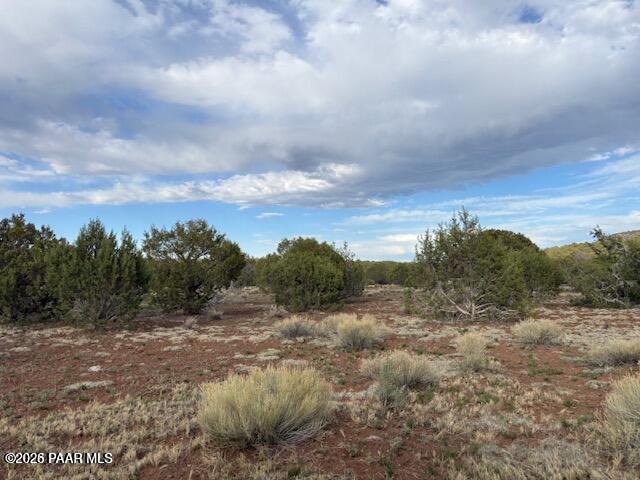 Lot 10 Incline Trail Williams, AZ 86046 - Photo 3 of 26 a view of a yard in a field