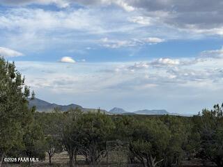 Lot 10 Incline Trail Williams, AZ 86046 - Photo 5 of 26 a view of a city and mountains
