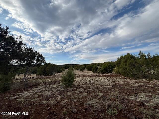 Lot 10 Incline Trail Williams, AZ 86046 - Photo 6 of 26 a view of a field with lots of trees
