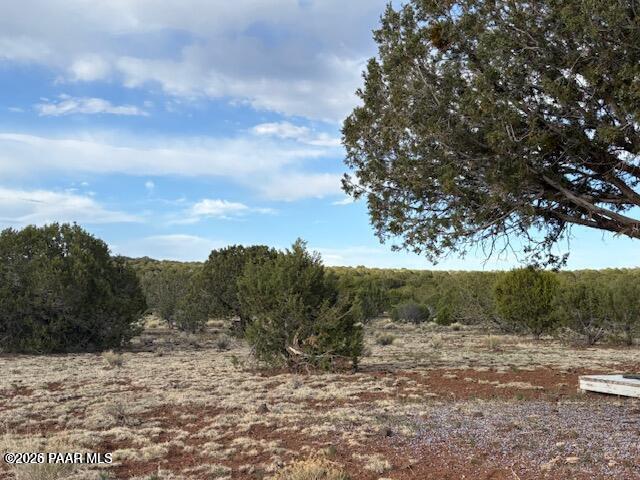 Lot 10 Incline Trail Williams, AZ 86046 - Photo 7 of 26 a view of a dry yard with trees
