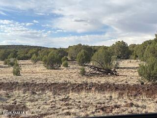 Lot 10 Incline Trail Williams, AZ 86046 - Photo 8 of 26 a view of a dry yard with trees