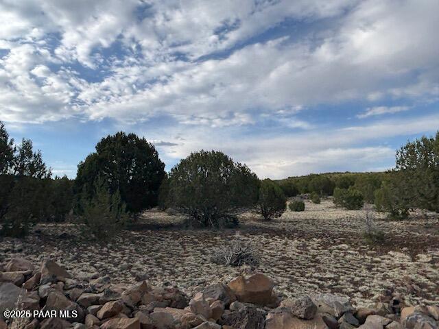 Lot 10 Incline Trail Williams, AZ 86046 - Photo 9 of 26 a view of a dry yard with wooden fence