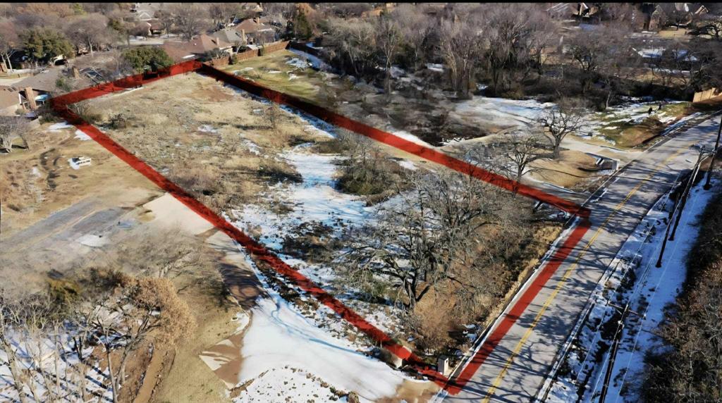 a view of a forest with a backyard