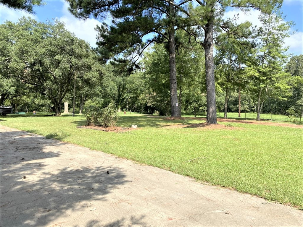 50 Ellislie Plantation Road Natchez, MS 39120 - Photo 2 of 33 Photo 2