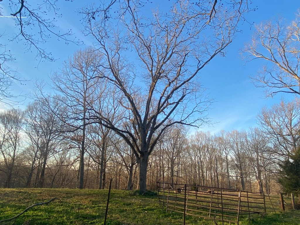 50 Ellislie Plantation Road Natchez, MS 39120 - Photo 25 of 33 Photo 25