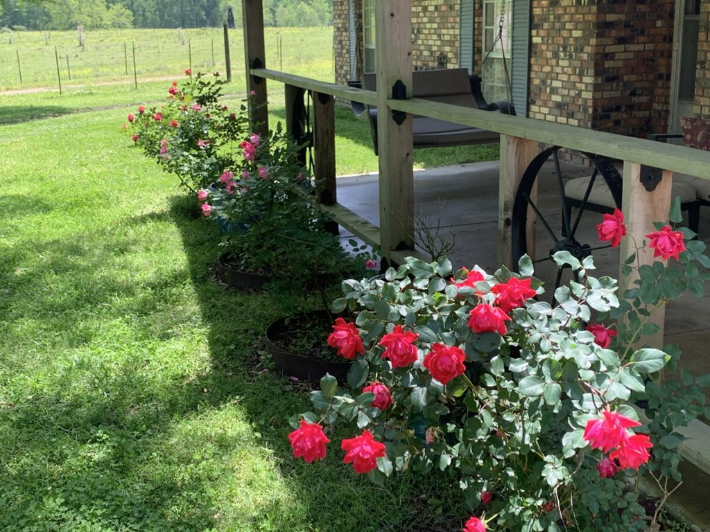 50 Ellislie Plantation Road Natchez, MS 39120 - Photo 3 of 33 Photo 3